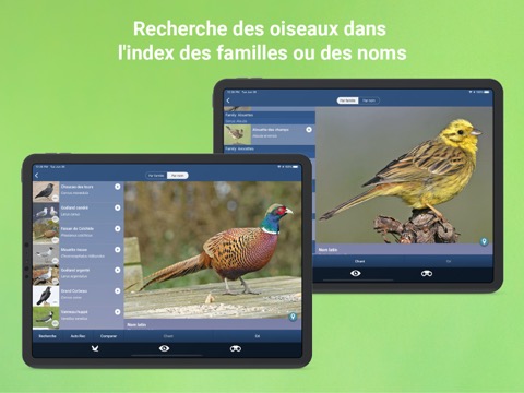 Chants d’oiseaux automatiqueのおすすめ画像7