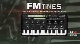 fm tines problems & solutions and troubleshooting guide - 4
