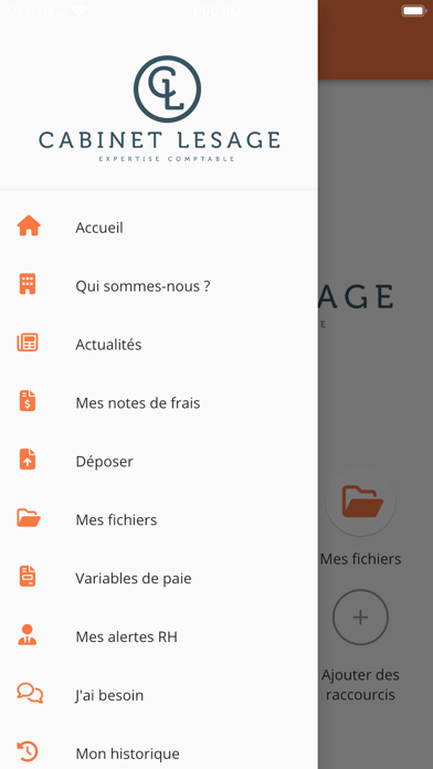 Cabinet Lesage Screenshot