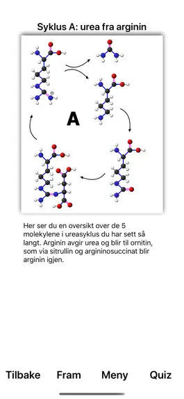 Game screenshot Ureasyklus hack