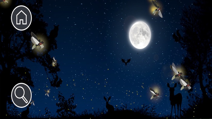 Kittys Garden Safari