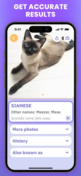 Game screenshot Cat Scanner : Breed Identifier hack