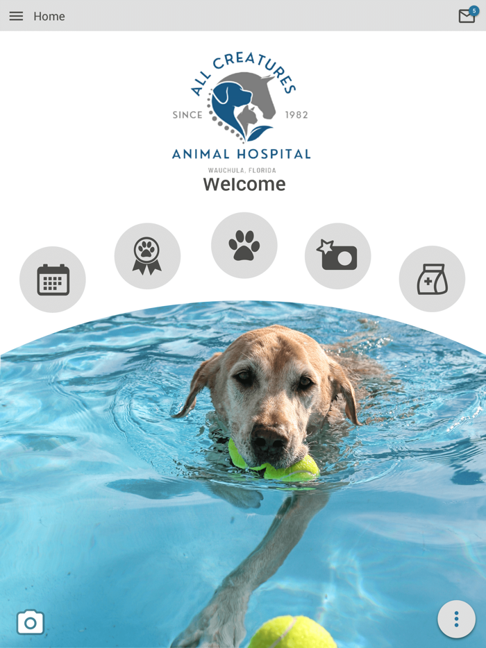 All Creatures Wauchula