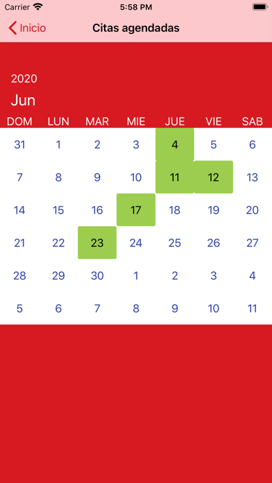 Toyota Lead Management Screenshot