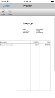 express invoice professional iphone bildschirmfoto 3