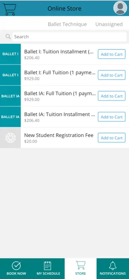 Game screenshot Kailua Dance Academy hack
