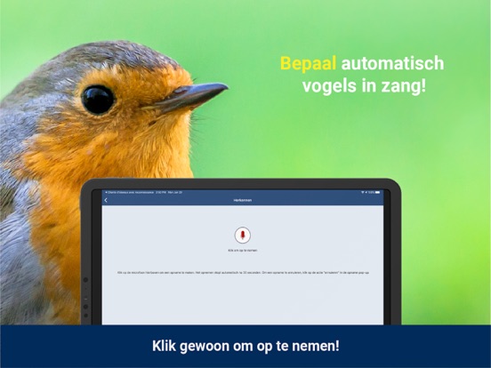Vogelzang Id Nederland iPad app afbeelding 2
