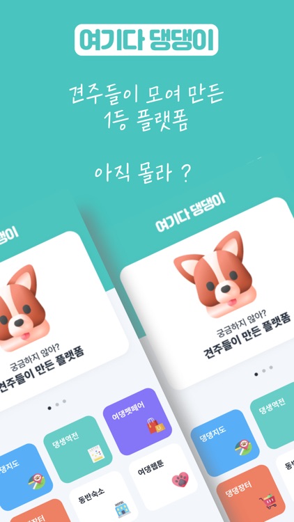 여기다댕냥이