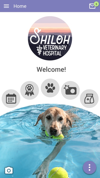 Shilohs Vet Hospital