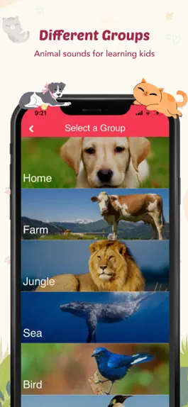 Game screenshot Animal Sounds for Kids.! apk