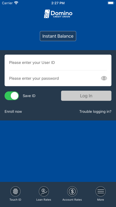 Domino Federal Credit Union Screenshot