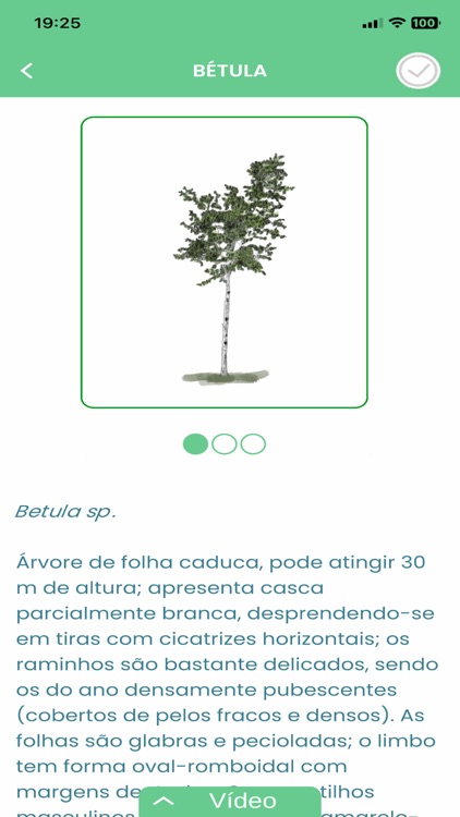 Territórios 5 Sentidos screenshot-7