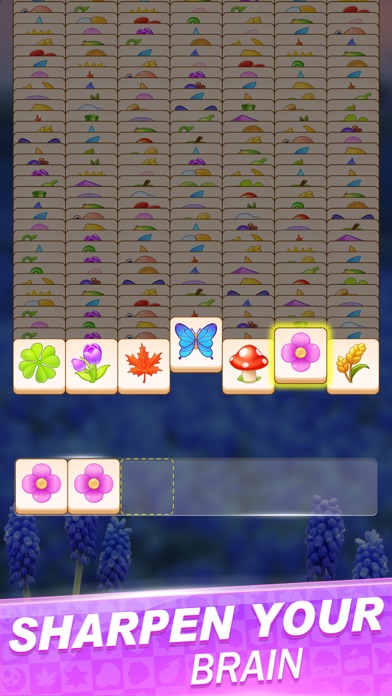 Home Match Master Screenshot