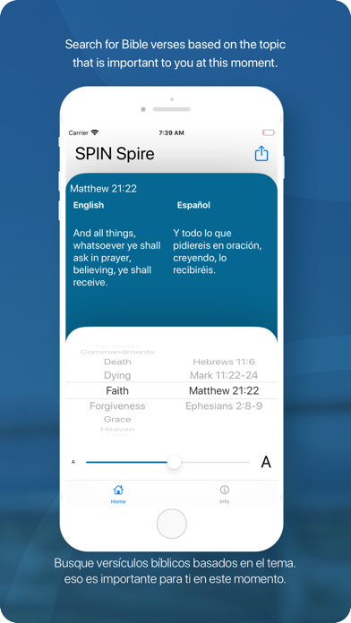 SPIN Spire iPhone screenshot 3 - Reference app