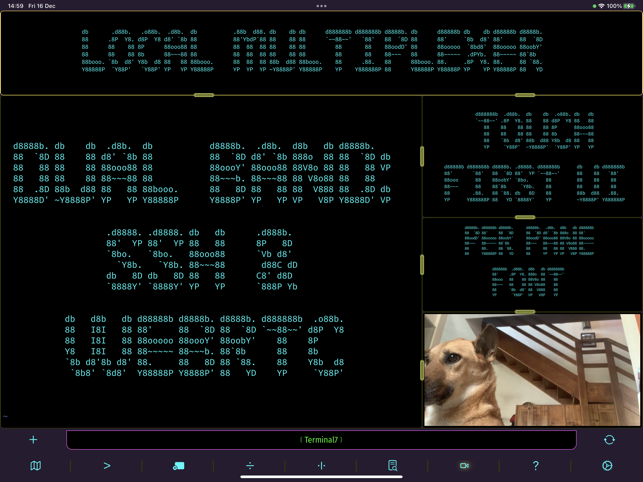 ‎Terminal7 Screenshot