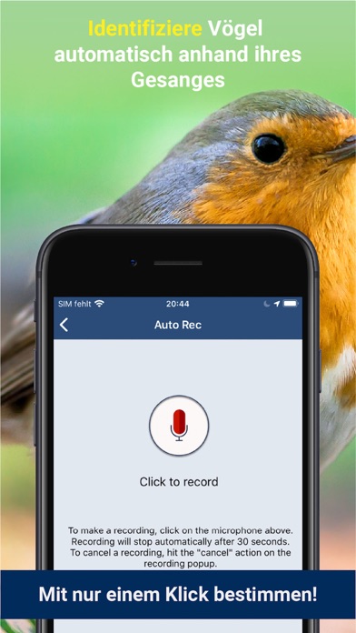 Vogelstimmen Id - Rufe,Gesängeのおすすめ画像2