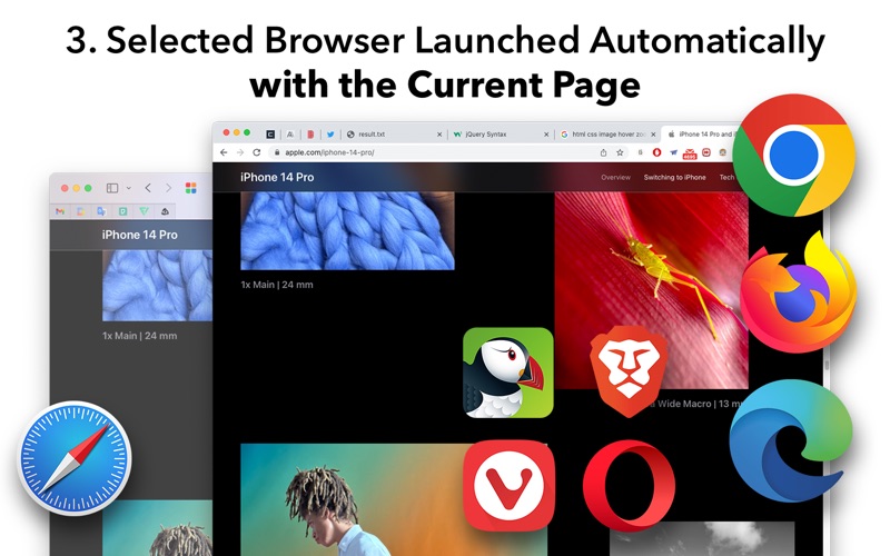 How to cancel & delete switch browser for safari 2