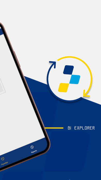BI Explorer Screenshot