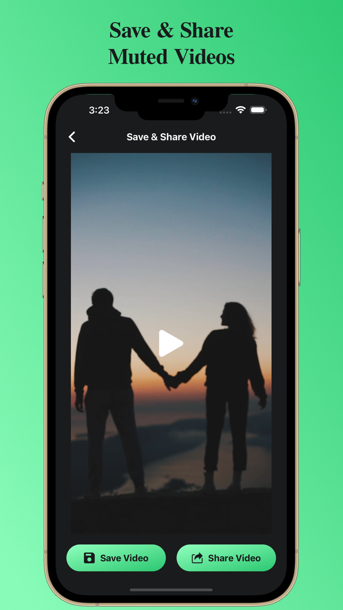 Mute Video Remove Sounds