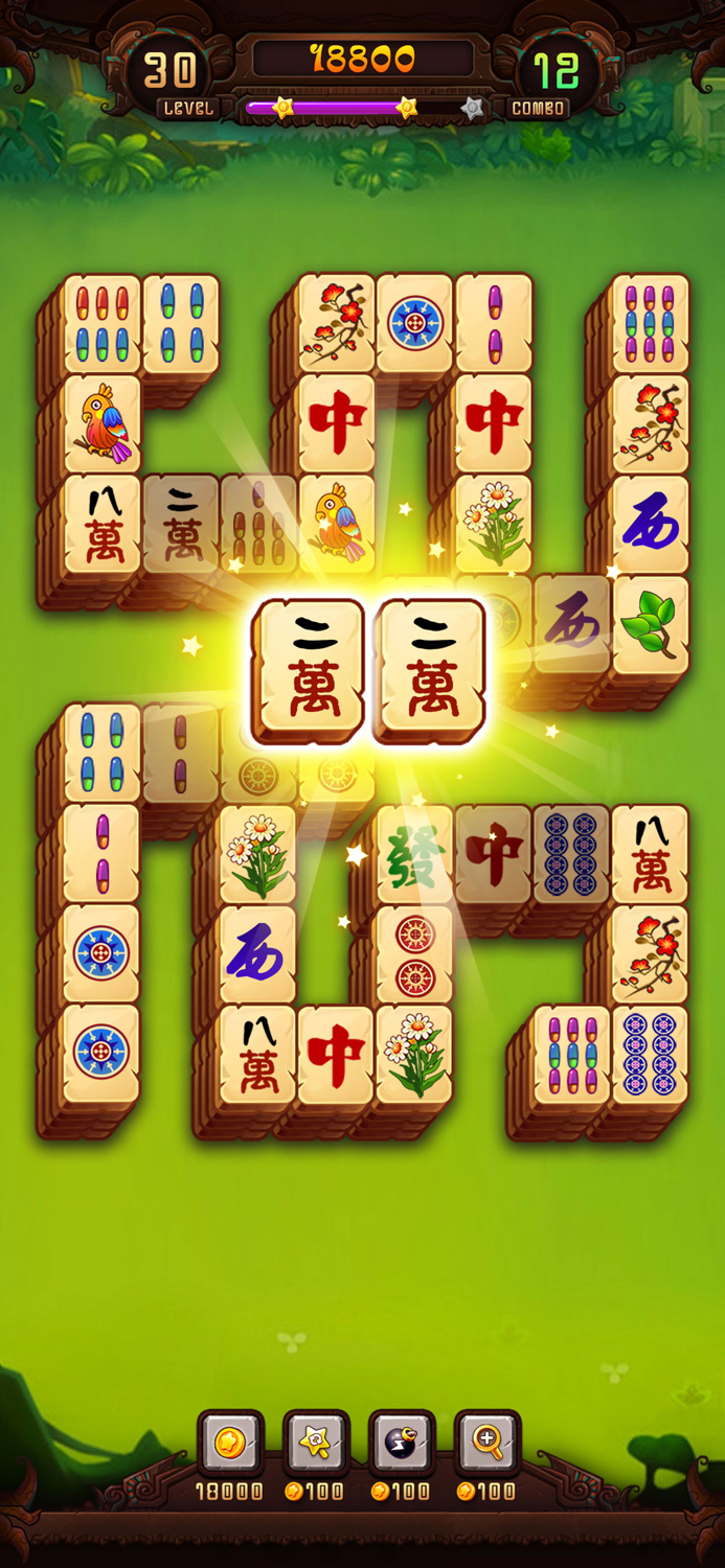 Mahjong Solitaire Puzzle