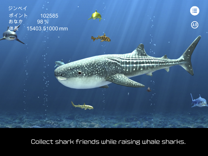 whale shark that grows calmly