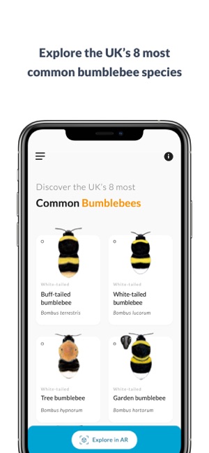 What’s that bumblebee(圖1)-速報App