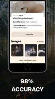 mushroom identification. iphone screenshot 2