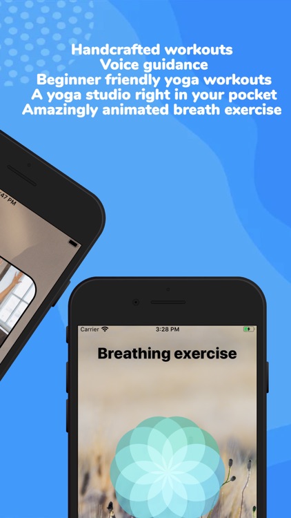 Daily Yoga Workout