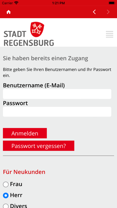 Radlparken Regensburg Screenshot