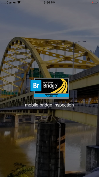 Mobile Bridge Inspection Screenshot