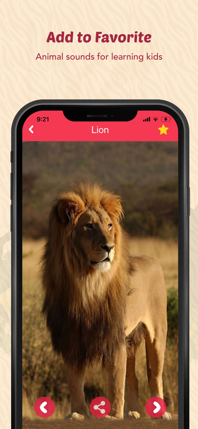 Animal Sounds for Kids.