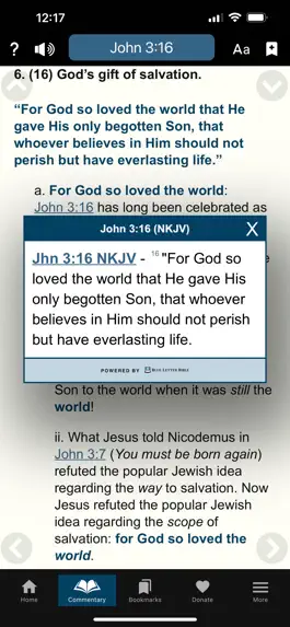 Game screenshot Enduring Word Commentary apk