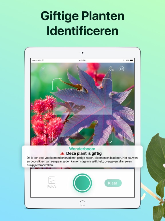 PictureThis: Planten Herkennen iPad app afbeelding 6