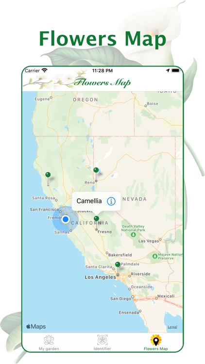 FloresID - Flowers Identifier screenshot-4