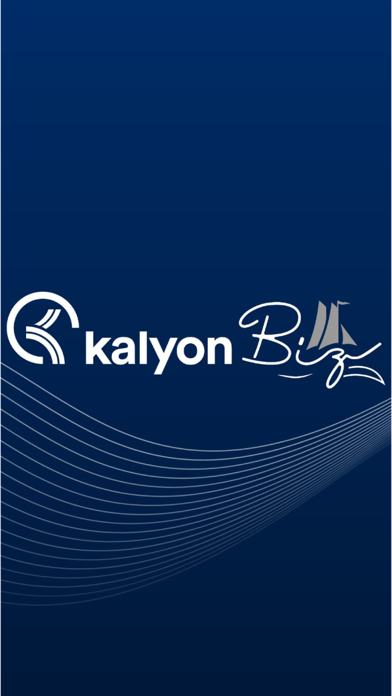 KalyonBiz Screenshot