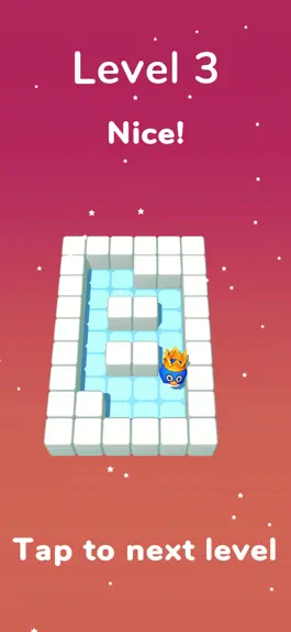 Game screenshot Ice Dashing hack