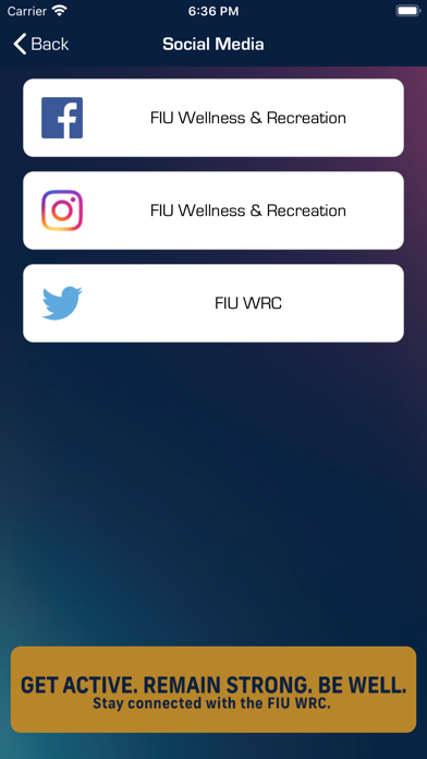 FIU WRC GO Screenshot