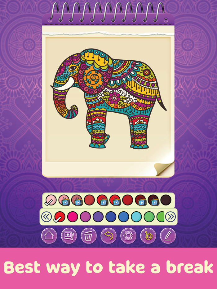 Mandala Coloring Book®