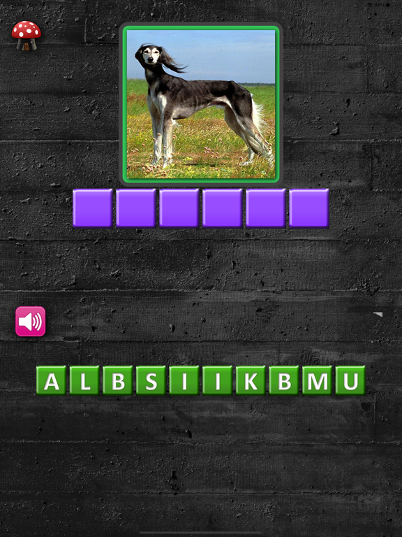 Screenshot #5 pour A Dogs Breed Quiz