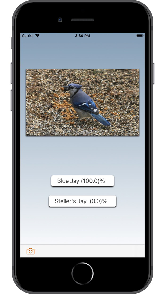 Bird ID Use AI to id birds