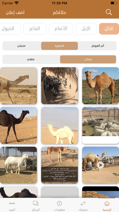 حلالكم Screenshot