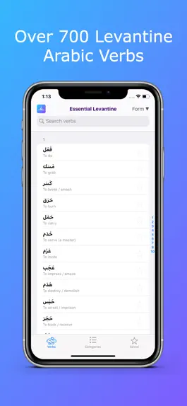 Game screenshot Levantine Arabic Verbs mod apk