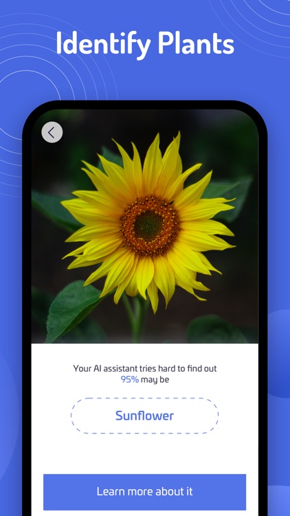 Smart Translate-AI Scanner screenshot-4
