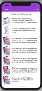 Vascular Variants screenshot #3 for iPhone