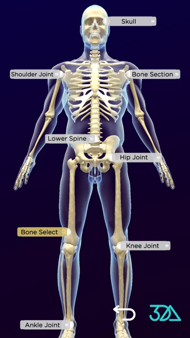 Screenshot #2 pour 3DAnatomica