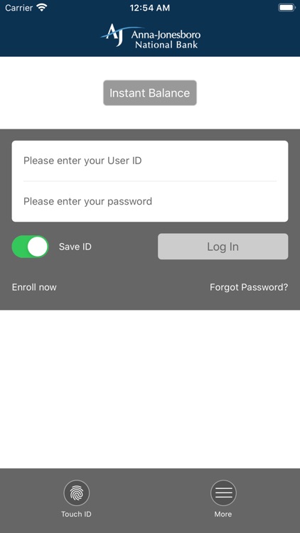 Anna Jonesboro National Bank