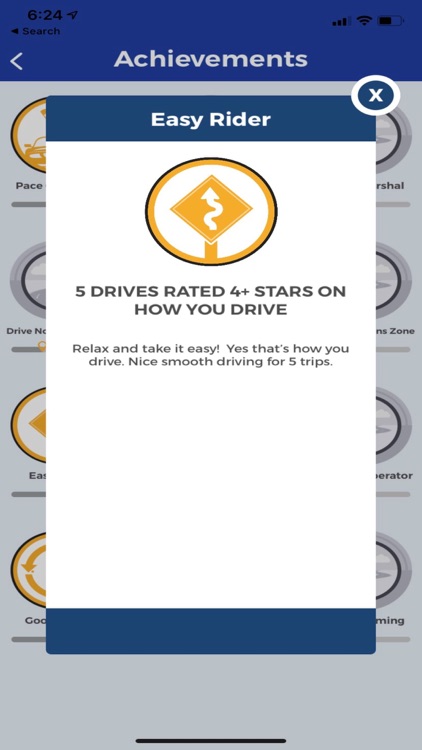 Great Driver™ screenshot-4