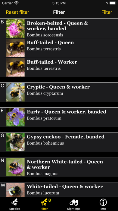 BeeID Screenshot
