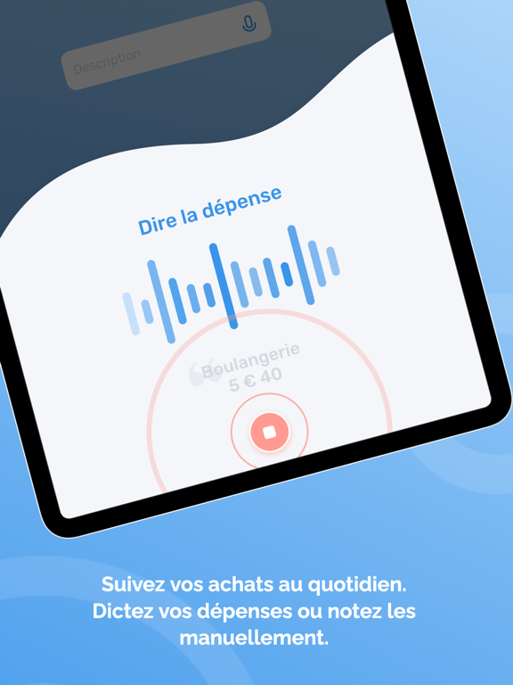 Screenshot #4 pour Pilote Dépenses
