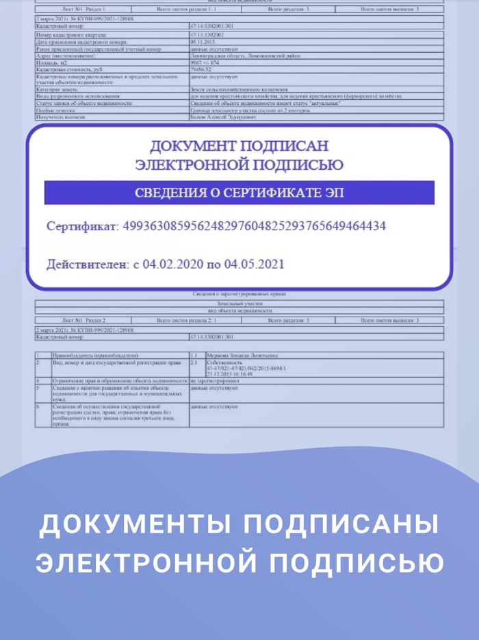 Выписка ЕГРН